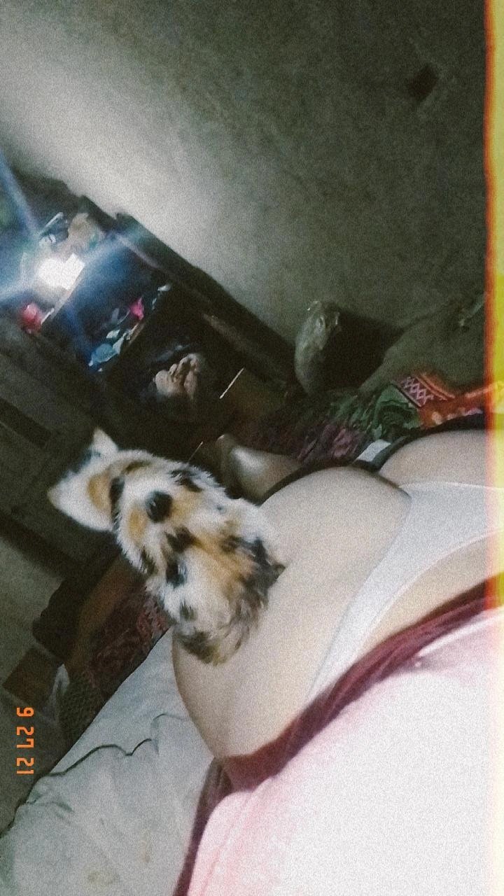 Rocío Toledo puta de burzaco se la coge todo el barrio sin forro #vMGlFFED